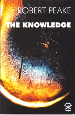 Fjords Review, The Knowledge by Robert Peake