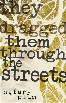 Fjords Review, Review of Hilary Plum’s They Dragged Them Through the Streets
