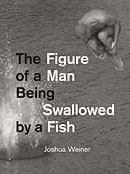 The Figure of a Man Being Swallowed by a Fish