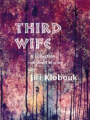 Third Wife by Jiri Klobouk